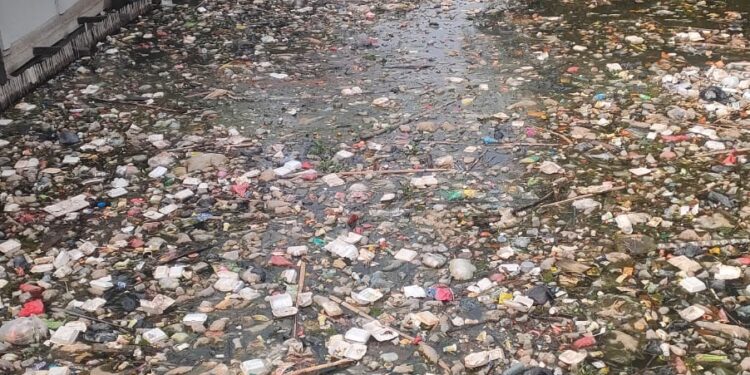 Awasi Provinsi Jambi Soroti Terkait Pencemaran Lingkungan dan Pendangkalan Di Lokasi Danau sipin Kota Jambi