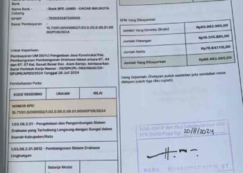 “Jambi Multitasking Terbaik: Pegawai Honorer yang Merangkap Kontraktor!”