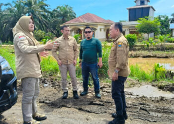 Bupati Tanjung Jabung Timur Bersama Gubernur Tinjau Jalan Sabak – Nipah Panjang, Rencana Perbaikan Multiyear