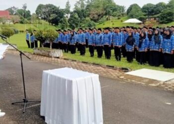 Formasi Kosong Masih Banyak, Pemkab Tanjabtim Buka Seleksi PPPK Lagi