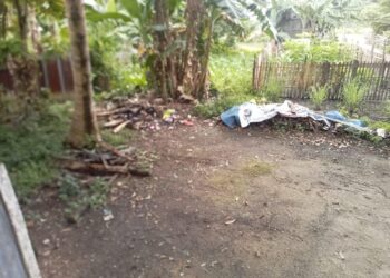 Warga Senaung Resah, Pencurian Tiang Kayu Bulian Kembali Terjadi