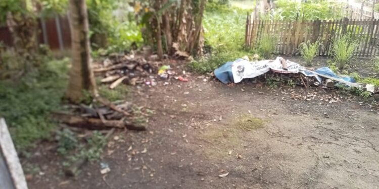 Warga Senaung Resah, Pencurian Tiang Kayu Bulian Kembali Terjadi