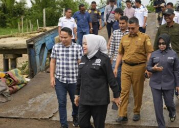 Komisi 1 Dan Anggota Banggar Tanjabtimur Tinjau Jembatan Muara Sabak Pasca Insiden Tabrakan Kapal 